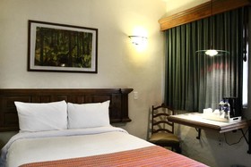 Alameda Centro Historico