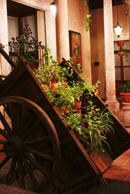 Alameda Centro Historico