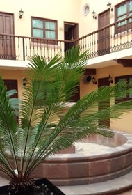 Casa del Virrey Hotel & Suites
