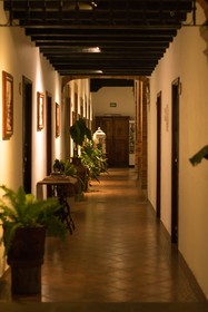 Meson de los Remedios