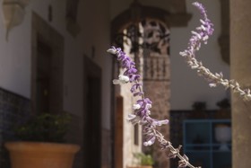Nana Vida Hotel Morelia