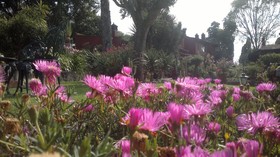 Villa San Jose Hotel & Suites