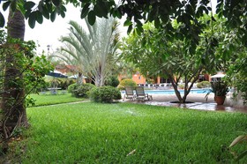 Best Western del Rio