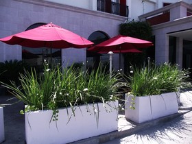 Hotel Colon Plaza Business Class