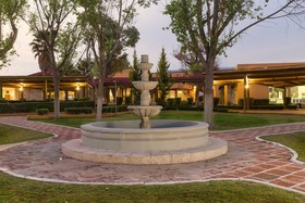 Gamma Pachuca