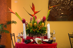 Hotel Maya Tulipanes Palenque