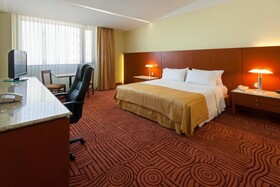 Holiday Inn Puebla Finsa