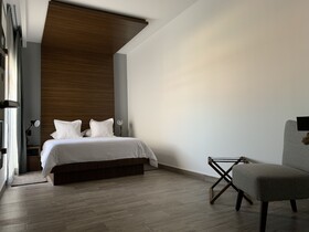Hotel Diana Único