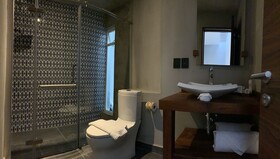 Hotel Diana Único