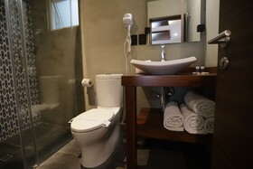 Hotel Diana Único