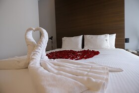 Hotel Diana Único