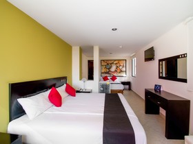 Hotel Posada de Analco