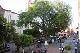 Hotel Madero