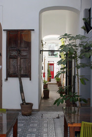 Kuku Ruku