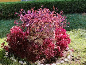 Rincon Unico Centrico