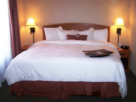 Hampton by Hilton Saltillo