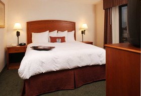 Hampton by Hilton Saltillo