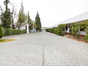 Capital O Hotel La Fuente