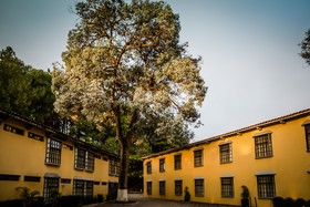 Hotel Rocaval San Cristobal De Las Casas