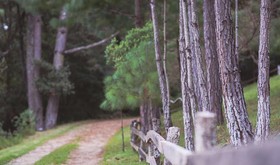 Hotel Molino de la Alborada