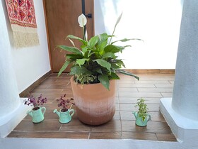 Suites Del Barrio Hotel