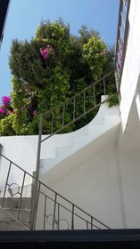 Casa Mariel