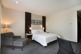 Hampton Inn By Hilton San Luis Potosi