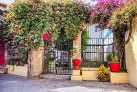 Hotel Posada Bugambilias by OYO Rooms