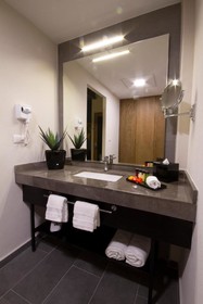 TRYP by Wyndham San Luis Potosi