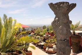 Casa Cinco Patios