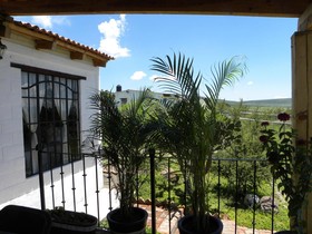 Casa Tulipan
