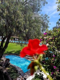 Hacienda Taboada