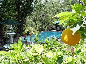 La Puertecita Boutique