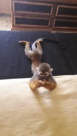 Posada Casa Reyna By Rotamundos