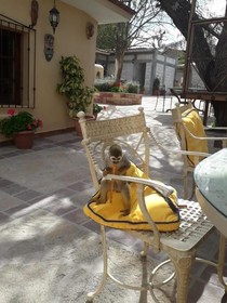 Posada Casa Reyna By Rotamundos