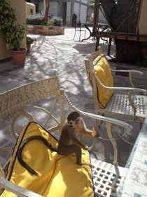 Posada Casa Reyna By Rotamundos