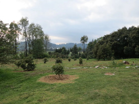 Vina Real Cabanas Rotamundos