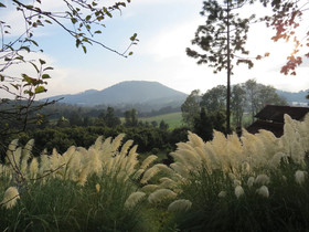 Vina Real Cabanas Rotamundos