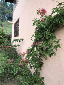 Vina Real Cabanas Rotamundos