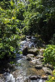 Argovia Finca Resort