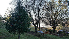 Cabanas Tapalpa Sierra Del Tecuan
