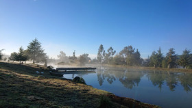 Cabanas Tapalpa Sierra Del Tecuan