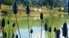 Cabanas Tapalpa Sierra Del Tecuan