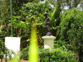 Las Palomas Tepic Express