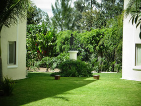 Las Palomas Tepic Express