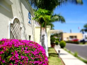 Las Palomas Tepic Express