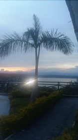 Real De Teques