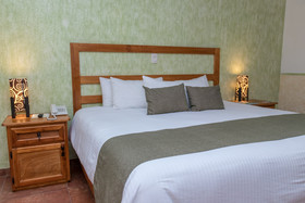La Casona Tequisquiapan Hotel & Spa