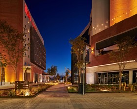 Ibis Torreon