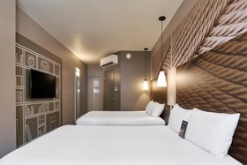 Ibis Torreon